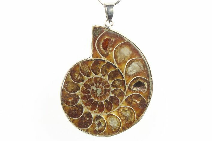 Fossil Ammonite Pendant - Million Years Old #288012